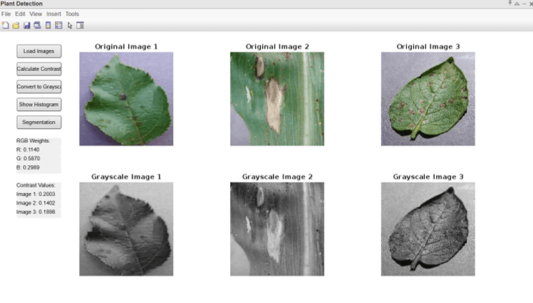Plant Leaf Detection and Segmentation Application - project preview screenshot and demonstration